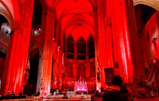 Catedral de Ratisbona, Alemania, durante la celebración de la #RedWeek. Crédito: ACN