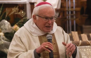 Mons. Raúl Vera, Obispo Emérito de Saltillo (México). Crédito: Diócesis de Saltillo.