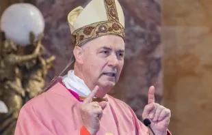 Cardenal español Ángel Fernández Artime, décimo sucesor de Don Bosco Crédito: ANS