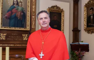 Mons. Ángel Fernández, el primer sucesor de Don Bosco que ha sido creado cardenal y que sigue siendo Rector Mayor de los salesianos Crédito: ANS