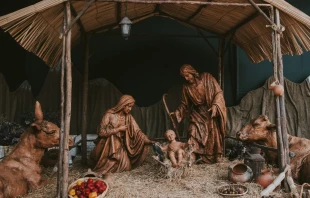 Imagen referencial Crédito: Walter Chávez/Unsplash