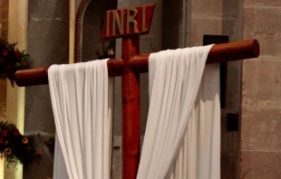 Imagen referencial. Cru00e9dito: Cathopic 