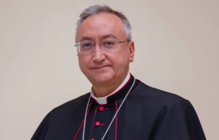 Mons. José rico Pavés, Obispo de Asidonia-Jerez (España). Crédito: Diócesis de Asidonia-Jerez.