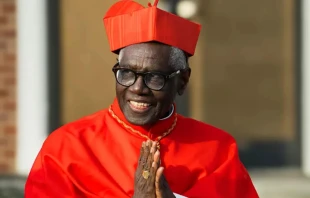 El Cardenal Robert Sarah sonríe fuera de la parroquia de St. John the Baptist, en Allentown, Nueva Jersey (Estados Unidos), en la Solemnidad de Cristo Rey de 2025. Crédito: Allison Girone/LatinMassPhotographer.com.