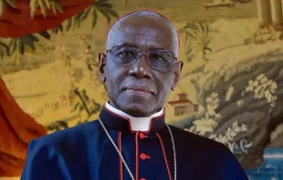 Cardenal Robert Sarah. Crédito: Cortesía.