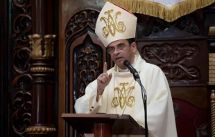 Mons. Rolando Álvarez. Crédito: Diócesis de Matagalpa