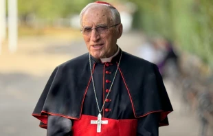 El Cardenal español Antonio María Rouco Varela. Crédito: Fundación Centro Medjugorje.