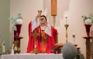 Foto referencial de un sacerdote celebrando Misa. Crédito Mattea Gregg / Unsplash.