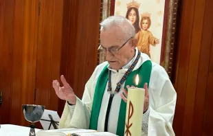 P. José Javier Alzueta Domeno (82), sacerdote salesiano fallecido el 22 de marzo, Viernes de Dolores. Crédito: Salesianos de España