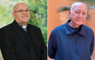 El P. José María Torralba (i) y el P. Rafael Gomar (d) dela Archidiócesis de Valencia (España). Crédito: AVAN