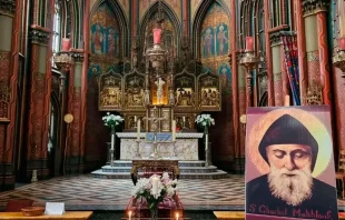 Presentación de la reliquia en Ámsterdam Crédito: Cortesía de la Familia San Charbel Irlanda.