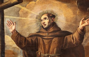 San Pedro de Alcántara Crédito: Renata Sedmakova - Shutterstock