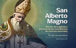 null San Alberto Magno, 15 de noviembre / ACI Prensa