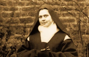 Santa Isabel de la Trinidad (foto recortada y con color fotográfico) Crédito: Willuconquer - Wikimedia Commons CC BY-SA 3.0 DEED