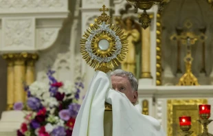 Un sacerdote sostiene una custodia con el Santísimo Sacramento. Crédito: Matea Gregg / Unsplash