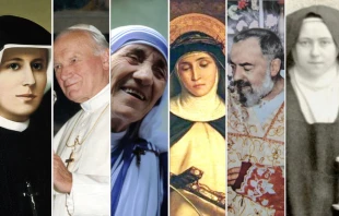 Santa Faustina Kowalska, San Juan Pablo II, Santa Teresa de Calcuta, Santa Catalina de Siena, San Pío de Pietrelcina, Santa Teresa de Lisieux. Crédito: Domino Público y Manfredo Ferrari / CC BY-SA 4.0.