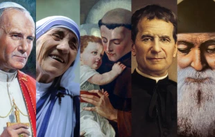Juan Pablo II. Crédito: Renata Sedmakova / Teresa de Calcuta. Crédito: Manfredo Ferrari (CC BY-SA 4.0) / Antonio de Padua. Crédito: Zvonimir Atletic Don Bosco. Crédito: Salesianos / San Charbel. Crédito: AM113 - Shutterstock