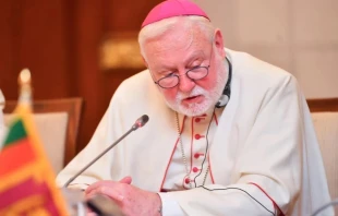 El arzobispo Paul Richard Gallagher, Secretario para las Relaciones con los Estados de la Santa Sede, habla en una conferencia de prensa el 4 de noviembre de 2025 en Colombo./Imagen referencial. Crédito: Santosh Digal.