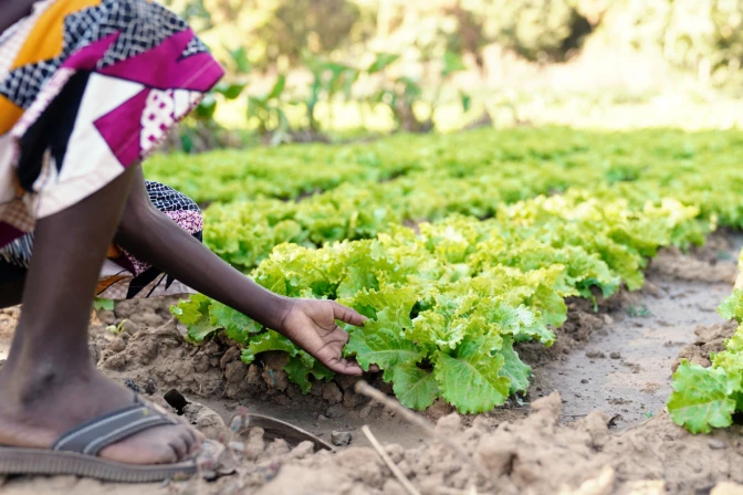 Un niño africano cultivando en el campo agrícola de una aldea.