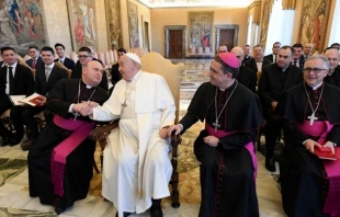 Imagen de la audiencia del Papa Francisco con seminaristas españoles este jueves 12 de diciembre Crédito: Vatican Media