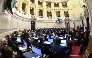 Senado de la Nación Argentina Crédito: Honorable Senado de la Nación Argentina