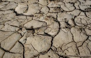 Imagen referencial Crédito: Unsplash