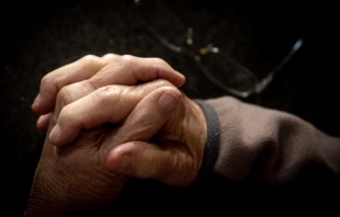 Imagen referencial Crédito: Pexels