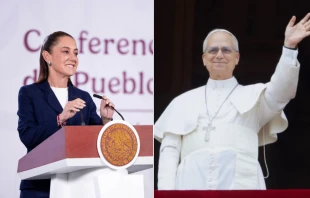Conferencia de prensa / El Papa León XIV saluda a una multitud Crédito: Presidencia de la República / Daniel Ibáñez, EWTN News.