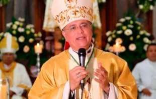 Mons. Silvio Báez, Obispo Auxiliar de Managua (Nicaragua). Crédito: Arquidiócesis de Managua.