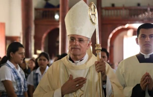 Mons. Silvio Báez, Obispo Auxiliar de Managua (Nicaragua). Crédito: Arquidiócesis de Managua.