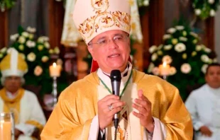 Mons. Silvio Báez, Obispo Auxiliar de Managua (Nicaragua) Crédito: Arquidiócesis de Managua.