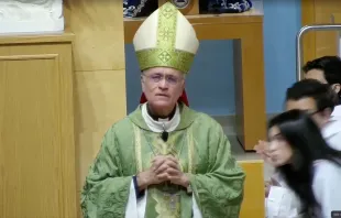 Mons. Silvio José Báez hoy en la iglesia de St. Agatha, en Miami (Estados Unidos). Crédito: Captura de video / St Agatha Catholic Church.