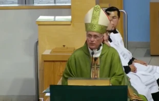 Mons. Silvio José Báez en su homilía pronunciada el domingo 10 de septiembre de 2023 Crédito: Mons. Silvio José Báez