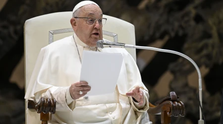 El Papa en la Audiencia General de este miércoles 15 de enero
