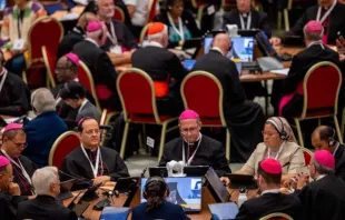 Los delegados del Sínodo de la Sinodalidad en grupos pequeños escuchan las orientaciones del Papa Francisco para las próximas semanas, el 4 de octubre de 2023. Crédito: Daniel Ibáñez / ACI Prensa.