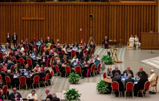 El Aula Pablo VI en el Vaticano, donde se desarrolla el Sínodo de la Sinodalidad. Crédito: Daniel Ibáñez / ACI Prensa