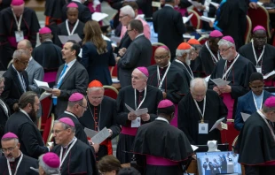 Imagen de la primera congregación general del Sínodo de la Sinodalidad 2024 Crédito: Daniel Ibáñez/ EWTN News