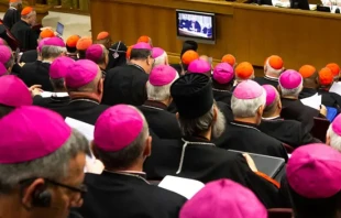 Obispos participantes del Sínodo de la Amazonía en 2019 Crédito: Daniel Ibáñez / ACI Prensa