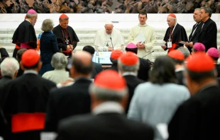 El Papa Francisco con algunos de los participantes del Sínodo de la Sinodalidad. Crédito: Vatican Media