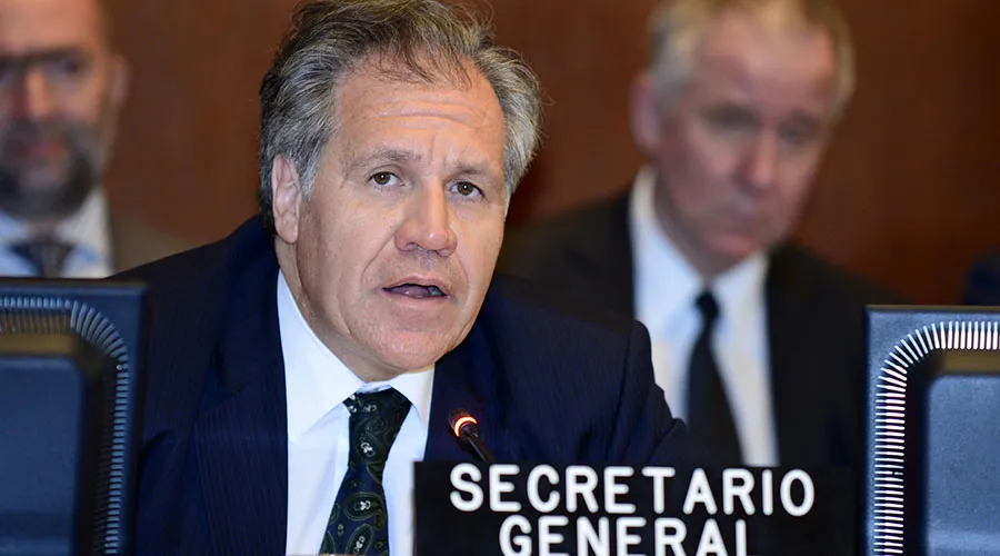 Luis Almagro, secretario general de la OEA. Foto: Juan Manuel Herrera/OAS