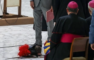 Guardia suizo se desmaya en Audiencia General. Cru00e9dito: Pablo Esparza / ACI Prensa. 