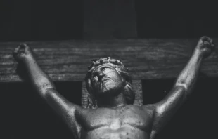 Imagen referencial Crédito: Piotr Arnoldes/Pexels