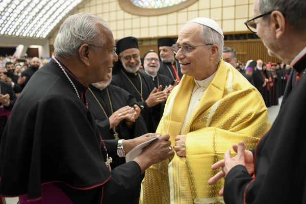 El Papa León XIV saluda a los presentes en el aula Pablo VI del Vaticano. Crédito: Vatican Media