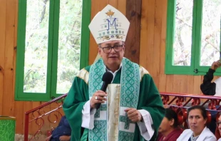 Mons. Luis Manuel López Alfaro en Chiapas. Crédito: Diócesis de San Cristobal de las Casas