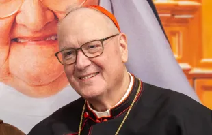 Cardenal Timothy Dolan, Arzobispo de Nueva York. Crédito: Jonah McKeown / CNA.