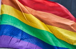 Imagen referencial. Cru00e9dito: SatyaPrem/Pixabay 