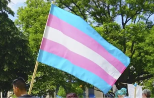 Imagen referencial. Cru00e9dito: Cru00e9dito: Ted Eytan / Wikipedia CC BY-SA 2.0 