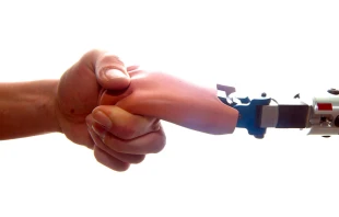 Imagen referencial. Crédito: Shutterstock