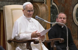 El Papa León XIV se dirige a los sacerdotes de la Sociedad de San Javier y a los participantes de un curso de un mes para formadores de seminarios en el Pontificio Ateneo Regina Apostolorum del Vaticano, el 25 de julio de 2025. Crédito: Vatican Media.