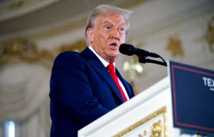 Donald Trump. Crédito: Chip Somodevilla - Shutterstock